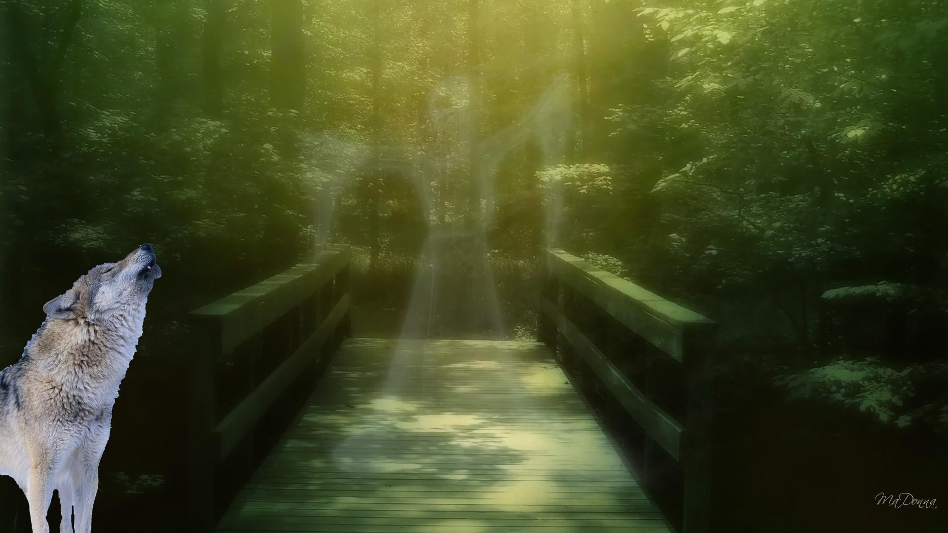 Spirits In The Forest gray bridge mythical green woman ghost 2k