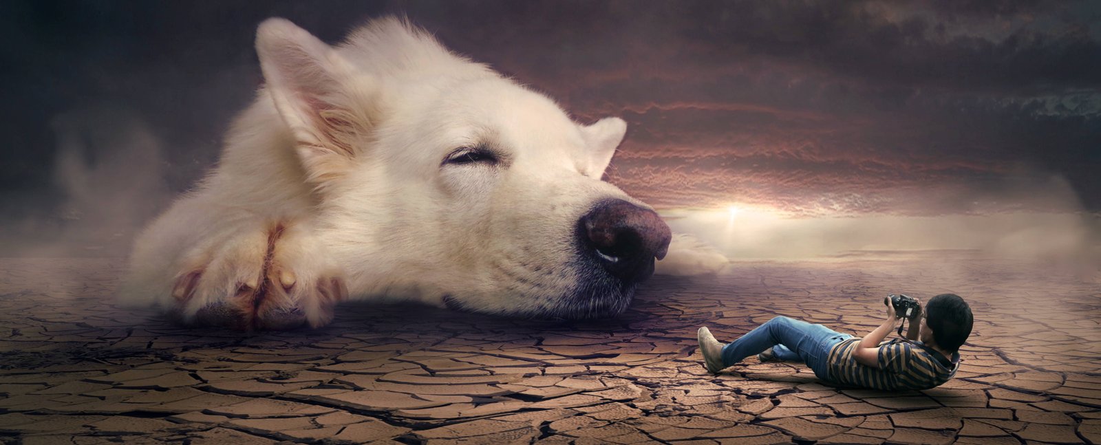 surreal photomontage dog mystical dream fantasy 2k 4k 5k