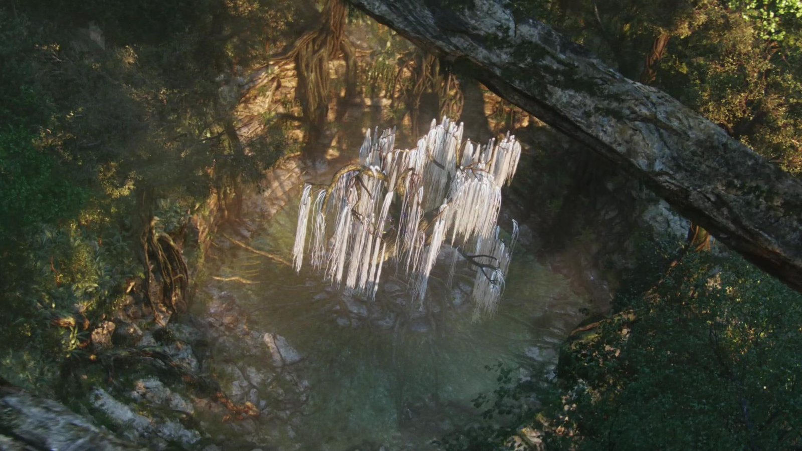 Tree Of Souls spirits mystical enchanting avatar and abstract 2k
