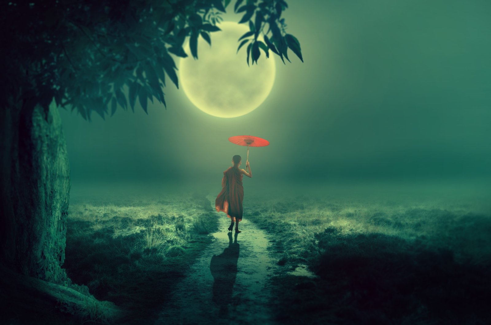 tree moon lane monk screen moonlight boy away grass 2k 4k 5k