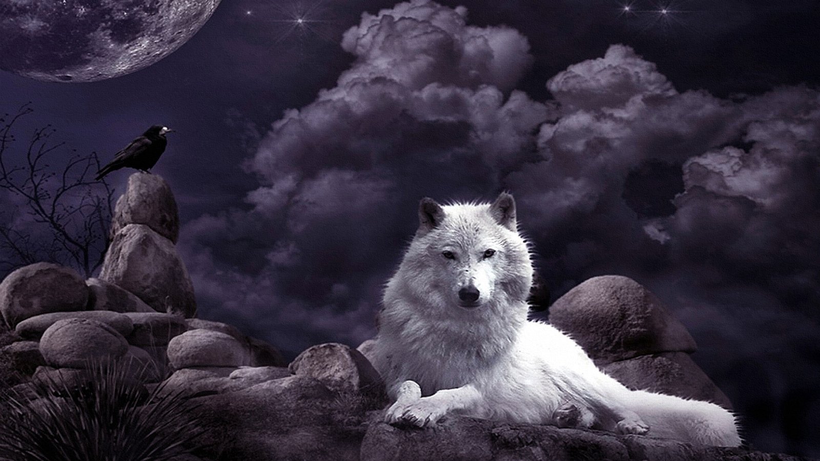 wolf night sky crow moon fantasy art white mystic 71 2k