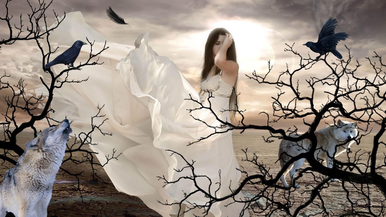 Woman Of The Wolves girl gothic feather dead trees beautiful 2k