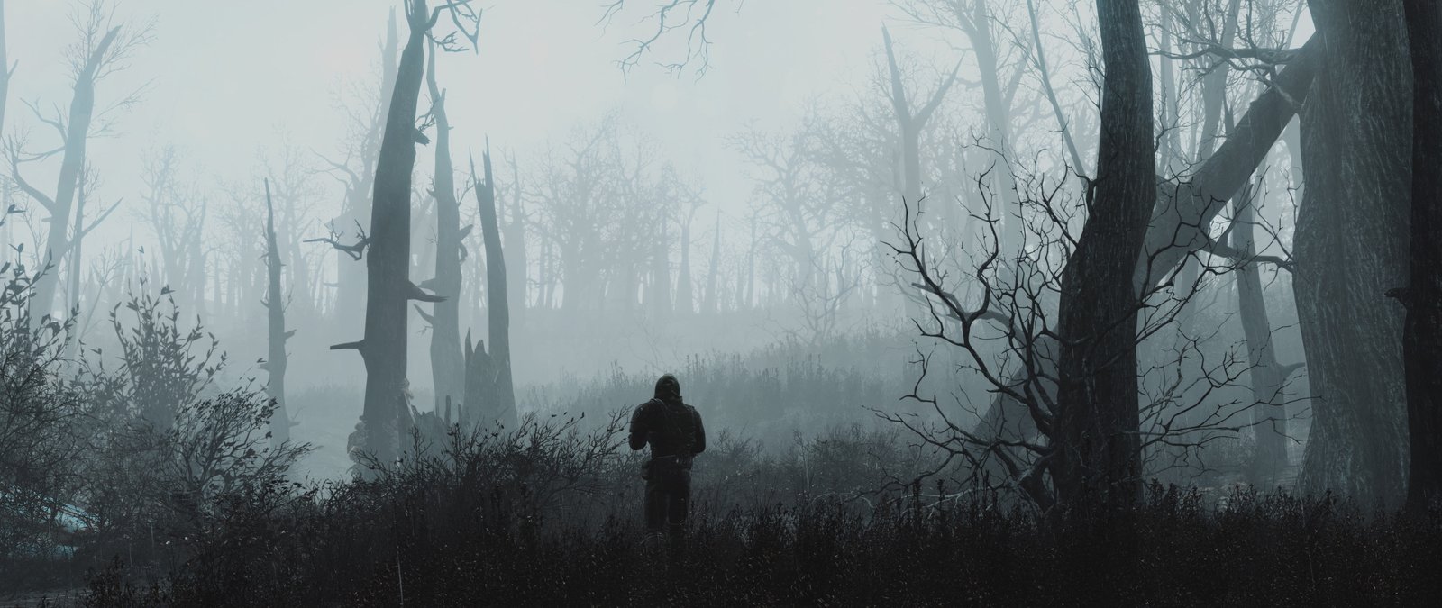 dual monitors video games tree forest plant fog widescreen dualmonitor dualscreen 2k 4k 5k