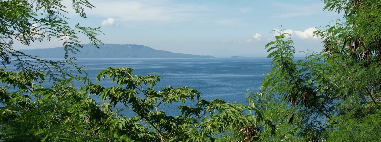 dual screen desktop plant tree beauty in nature water scenics widescreen dualmonitor dualscreen 2k