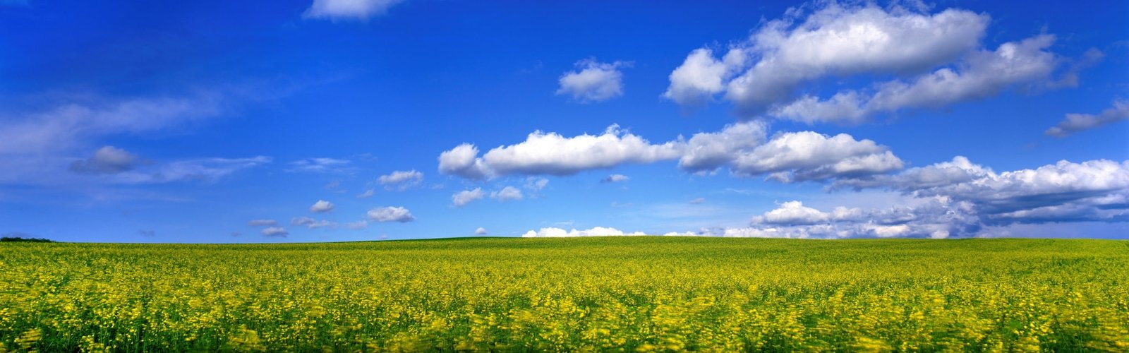 dual screen pictures for large desktop landscape environment widescreen dualmonitor dualscreen 2k