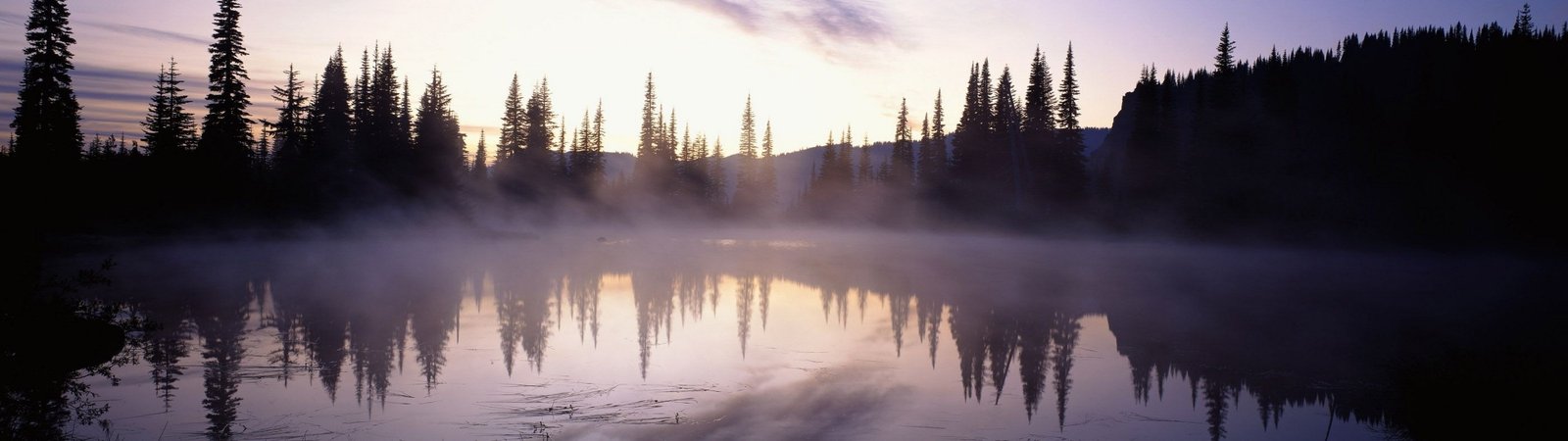 dual screen landscape nature tree water reflection tranquility widescreen dualmonitor dualscreen 2k 4k