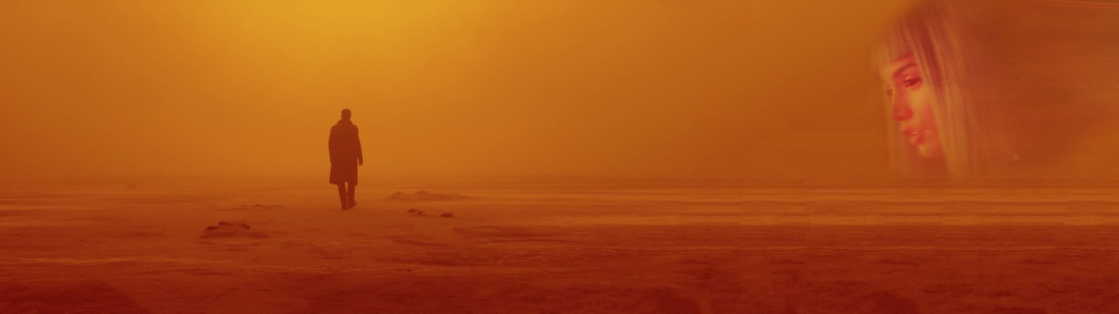 man standing on open field digital wallpaper Blade Runner widescreen dualmonitor dualscreen 2k 4k 5k