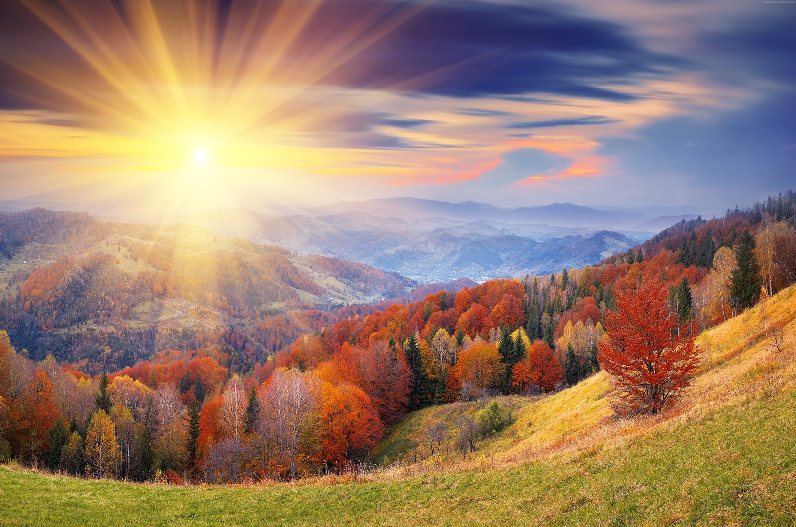 autumn coloring dawn mount trees 2k 4k 5k
