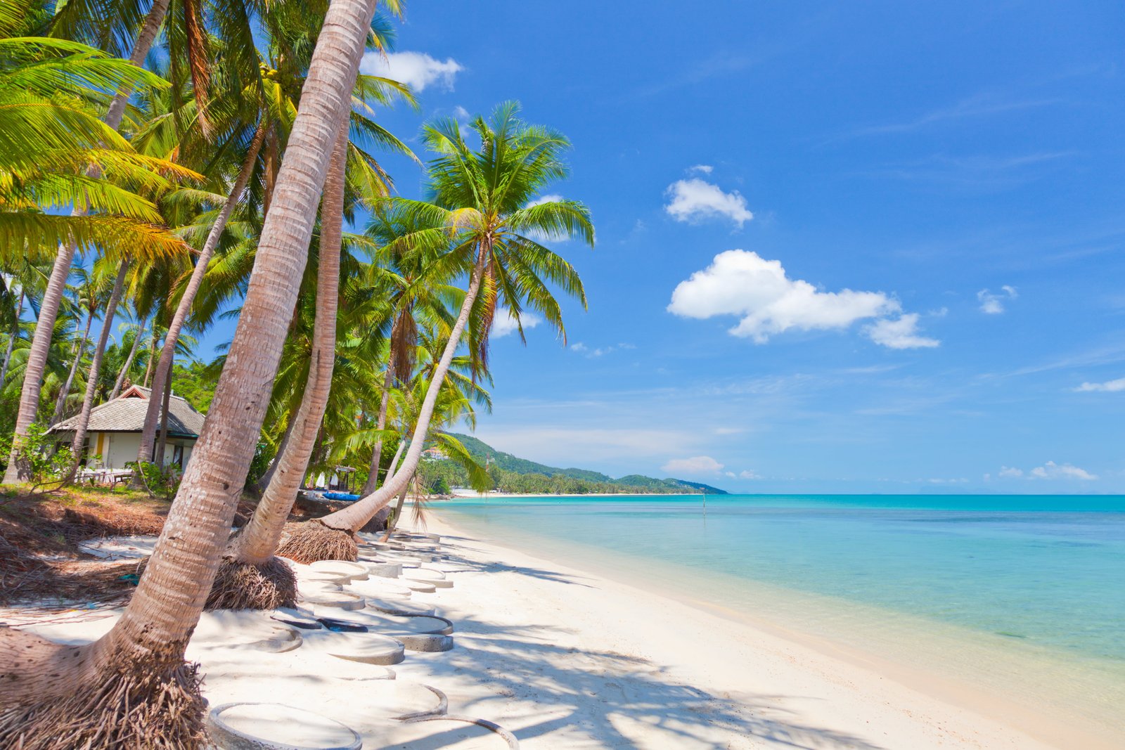 green leaf coconut trees sand sea the sky clouds landscape 2k 4k 5k