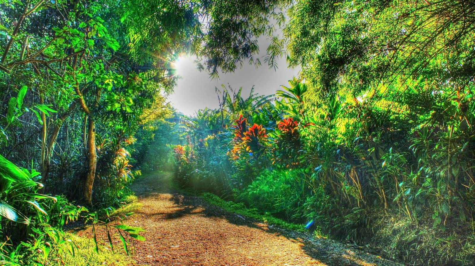 green leafed plants painting tropical water forest 2k 4k 5k