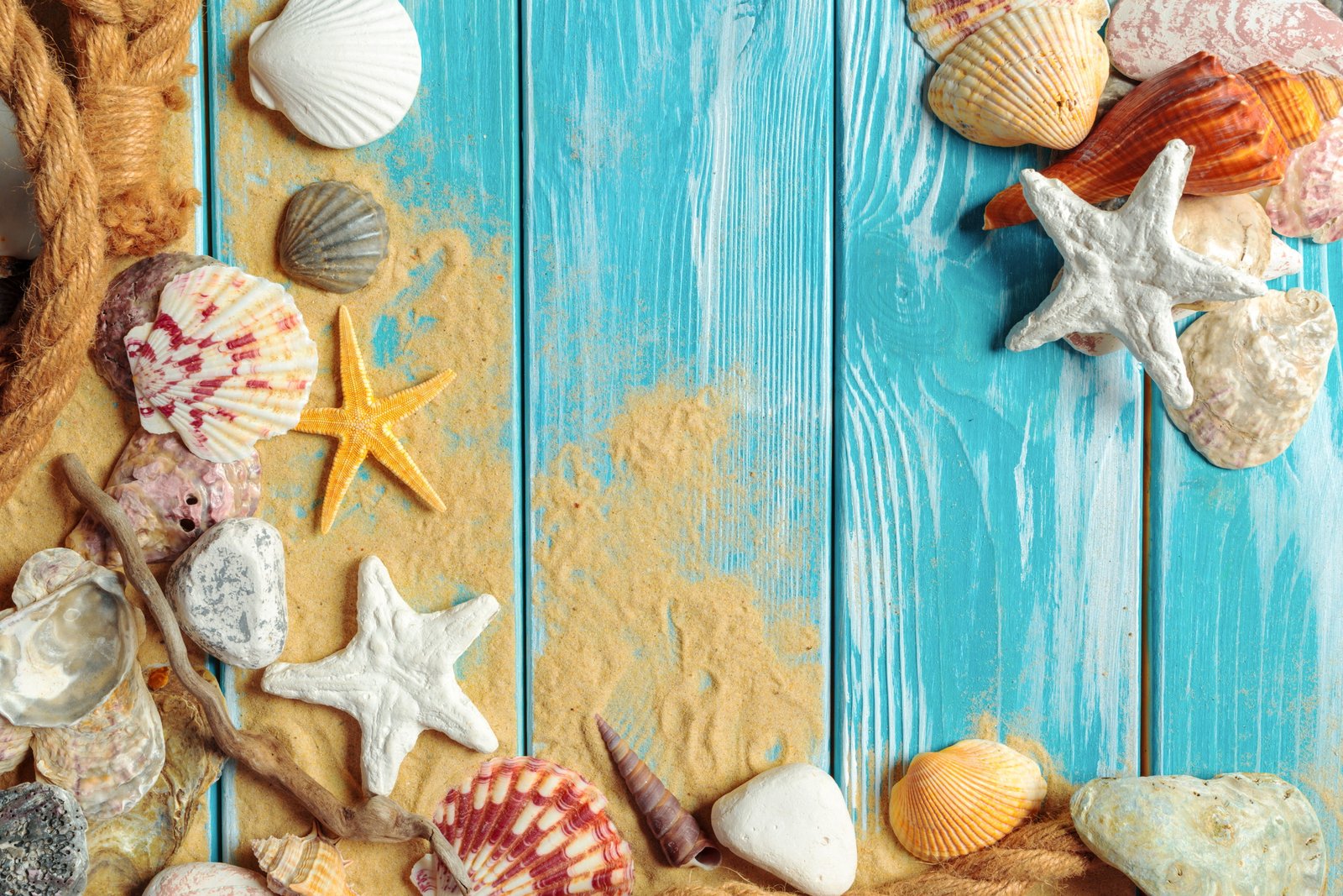 sand beach shell wood marine still life starfish seashells 2k 4k 5k