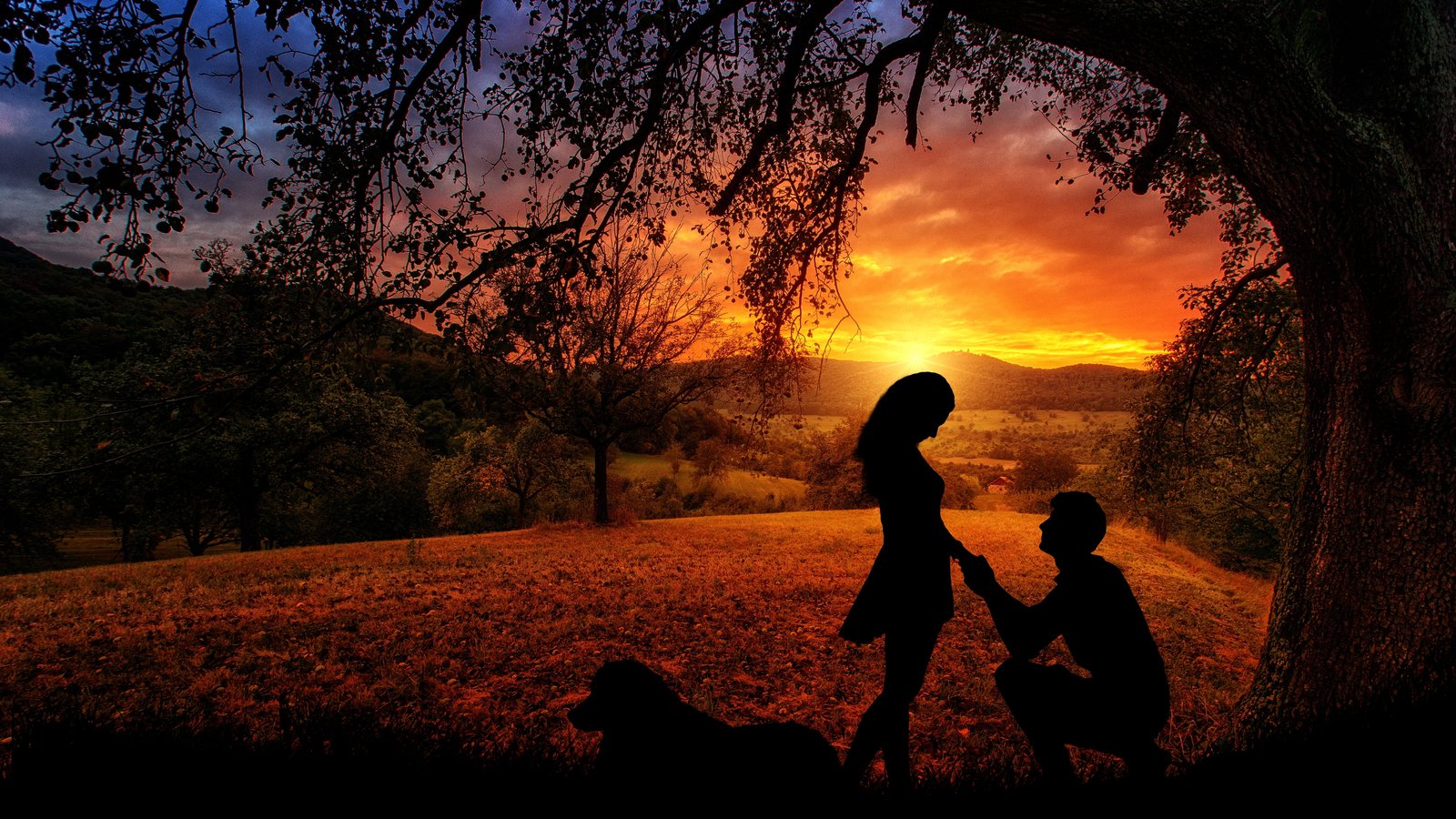 sunset outdoors dawn nature dusk silhouette couple lovers 2k 4k 5k
