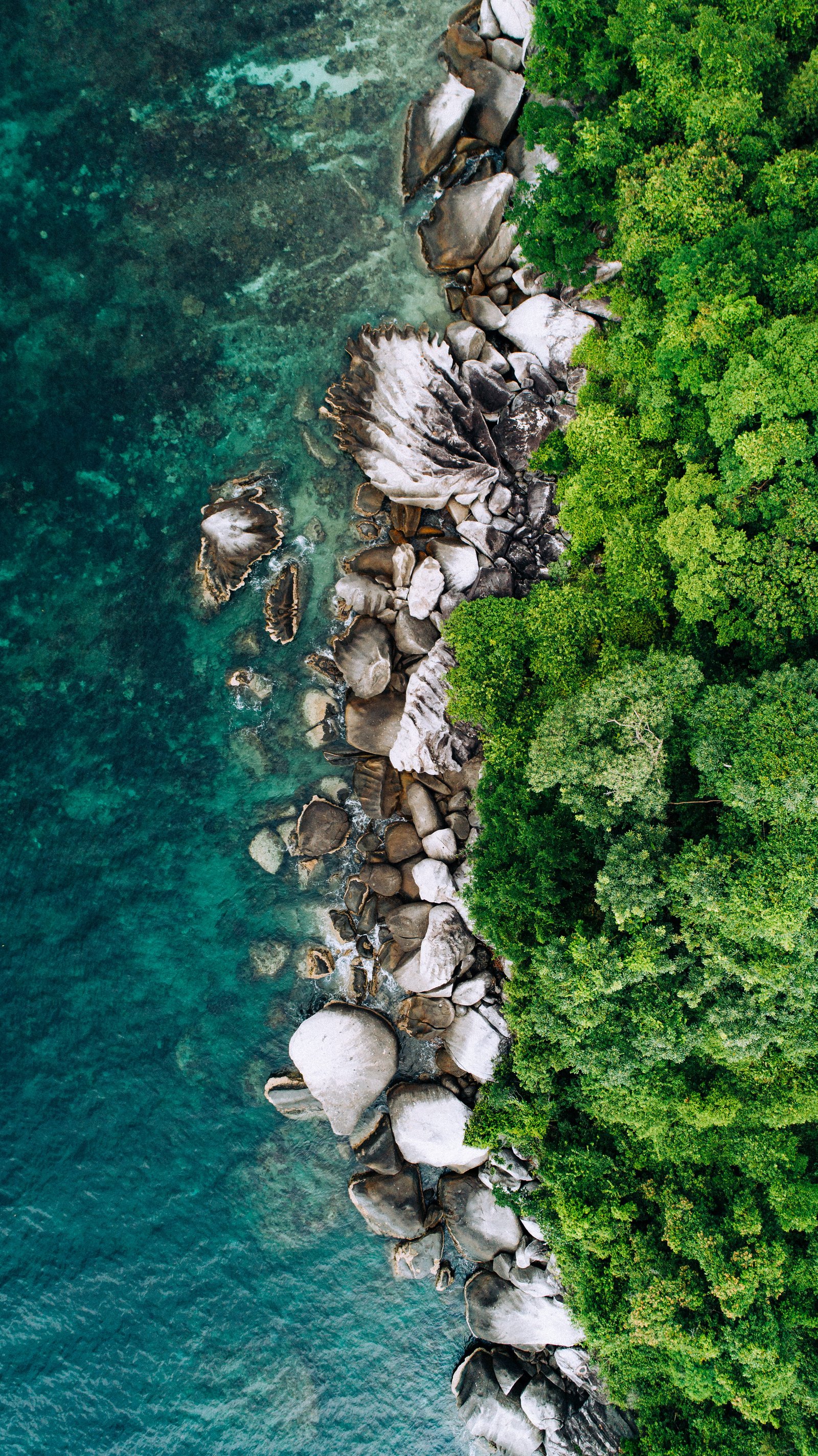 aerial photography of beach shore drone view sea 2k
