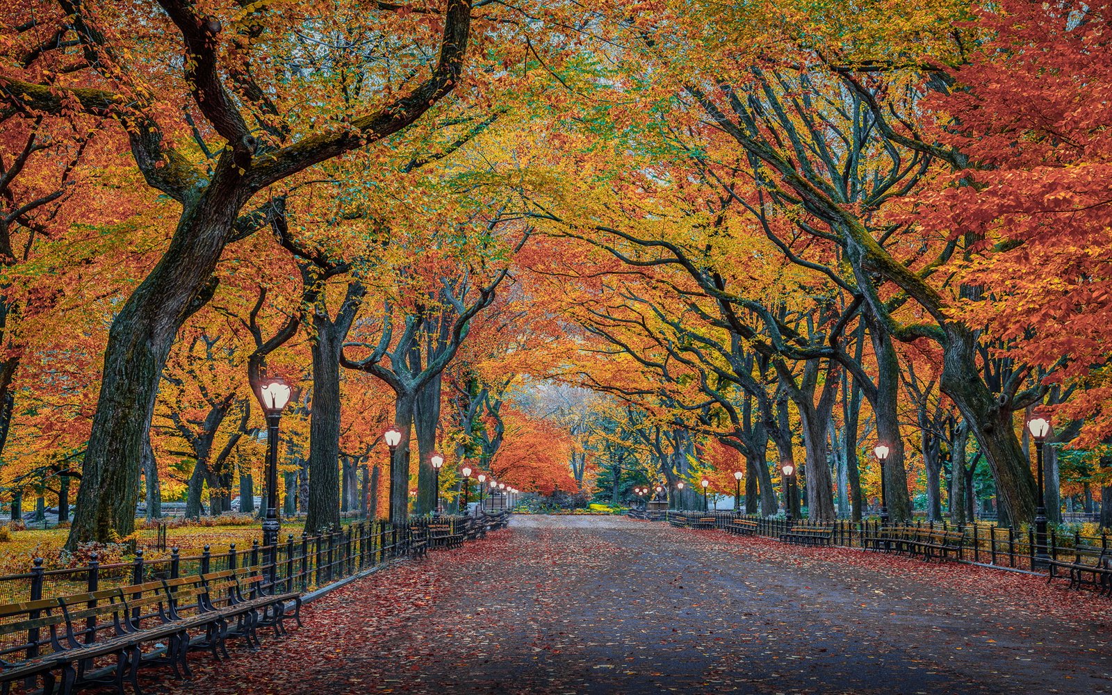 Autumn Colors In Nature Herbst Park New York City Usa Ultra Hd Wallpaper For Desktop Laptop Tablet Mobile Phones And Tv 2k 4k