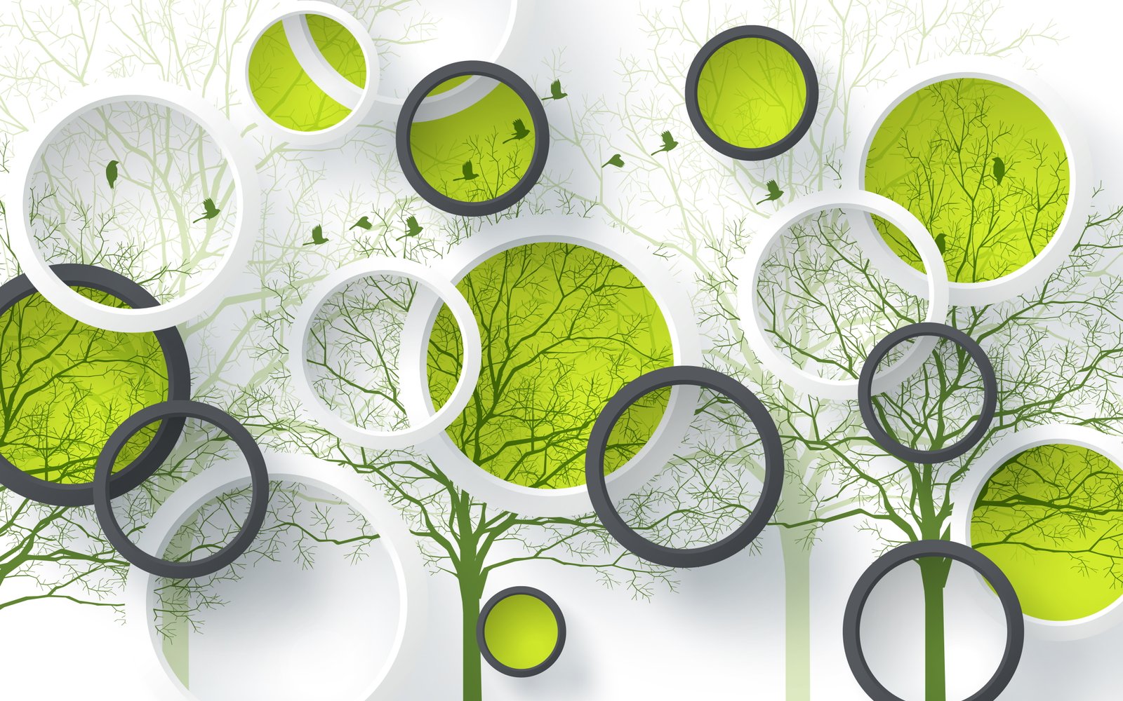 Birds Design Green Circles still life indoors 15 2k 4k 5k 8k