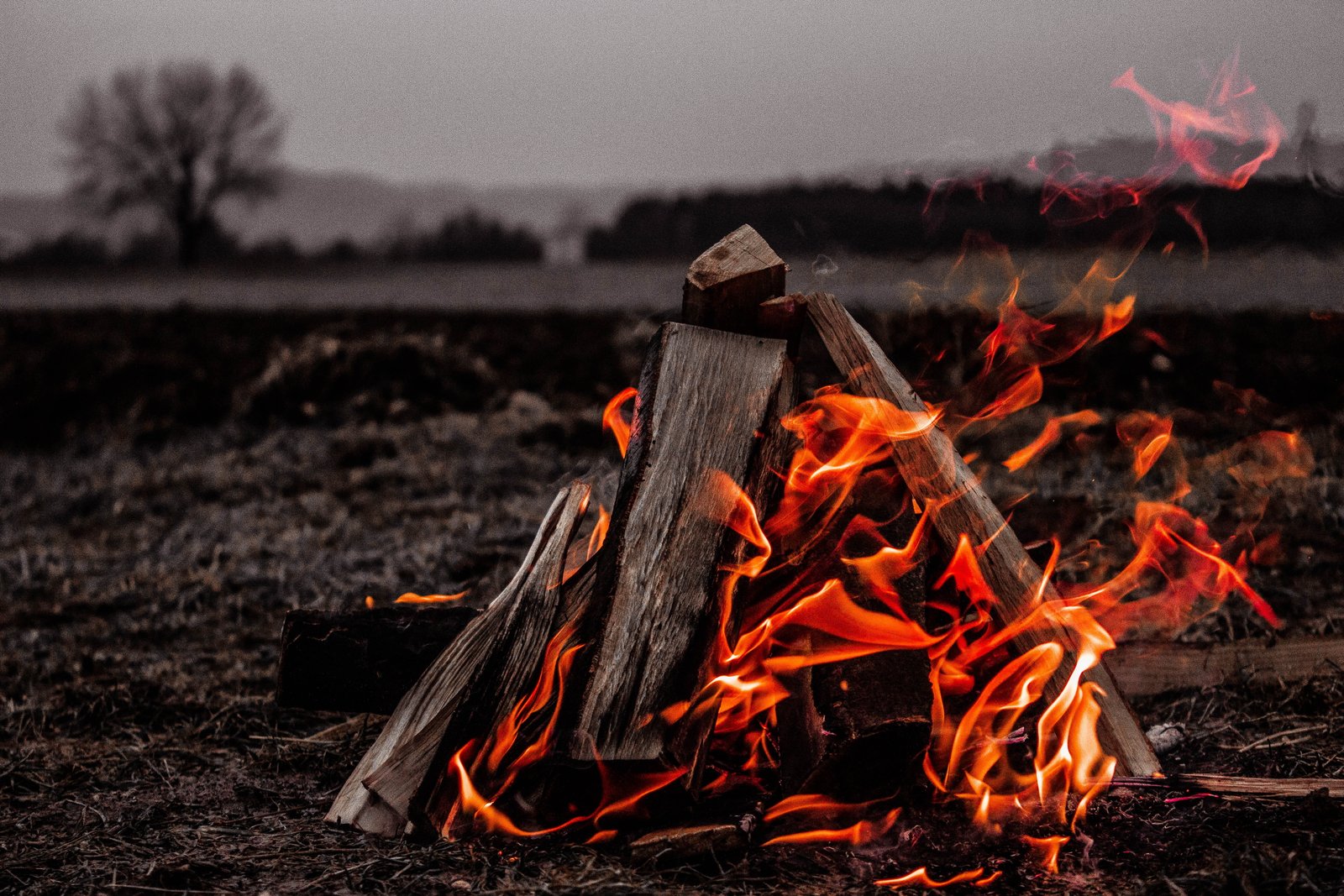 brown bonfire on gray field bone fire campfire flame burning 2k 4k 5k