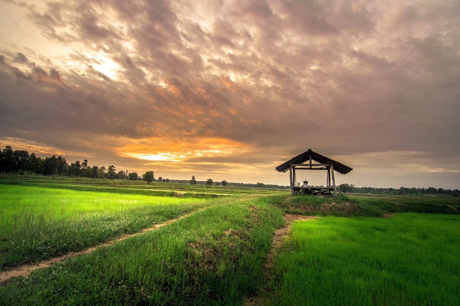 brown wooden shed on grass field during golden hour home outside 2k 4k 5k