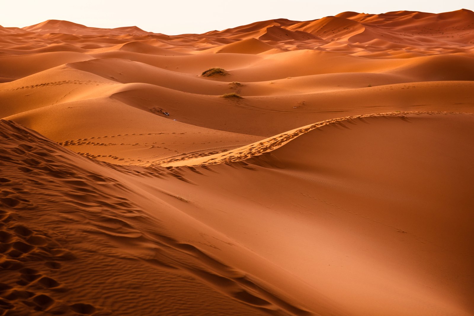 desert nature earth sand dunes hd dune 2k 4k 5k