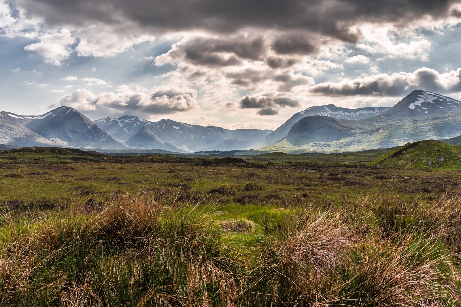 green grass field under gray sky during daytime Rannoch Moor 2k 4k 5k