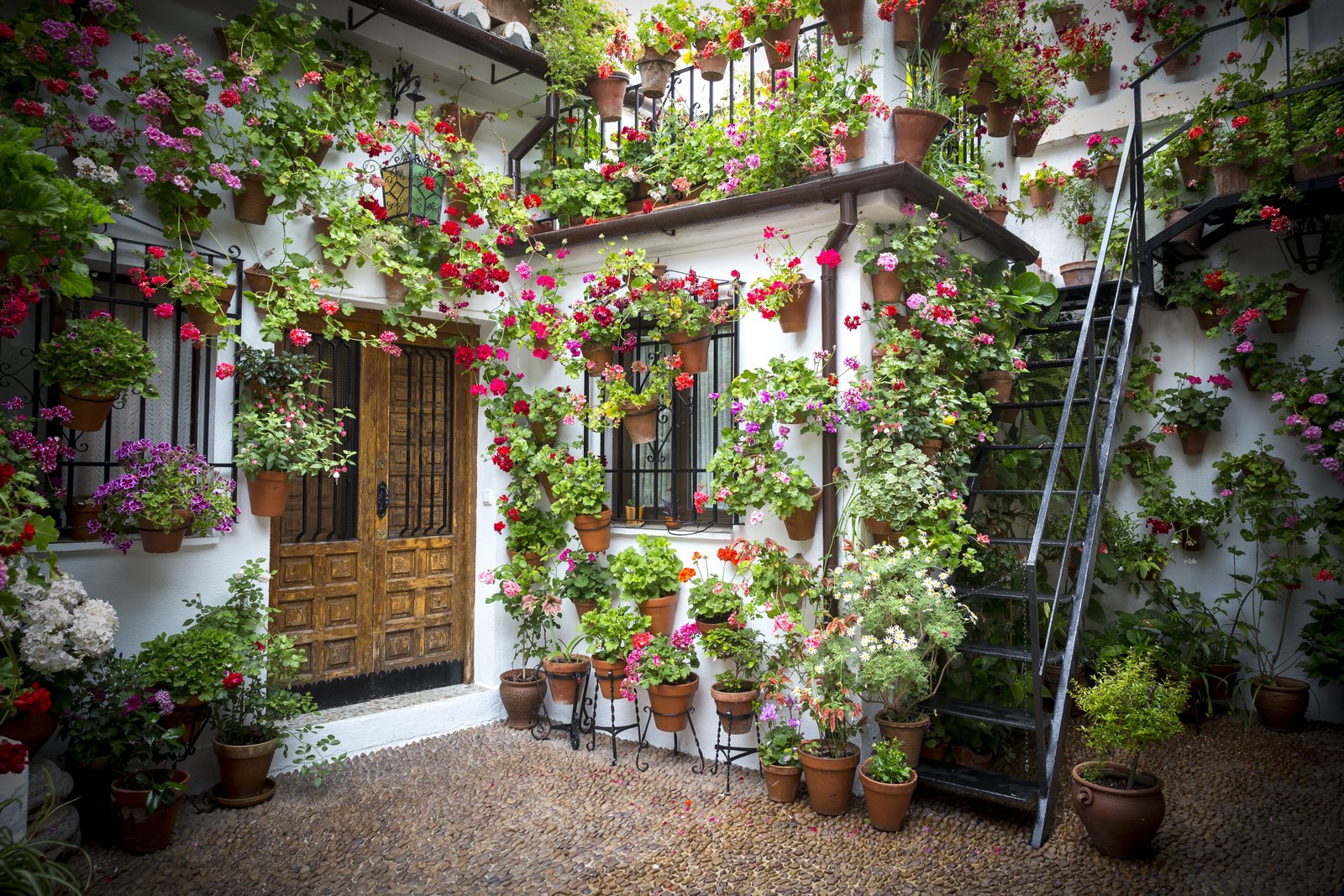 photography of house with flowers pots patio andalusian 2k 4k 5k