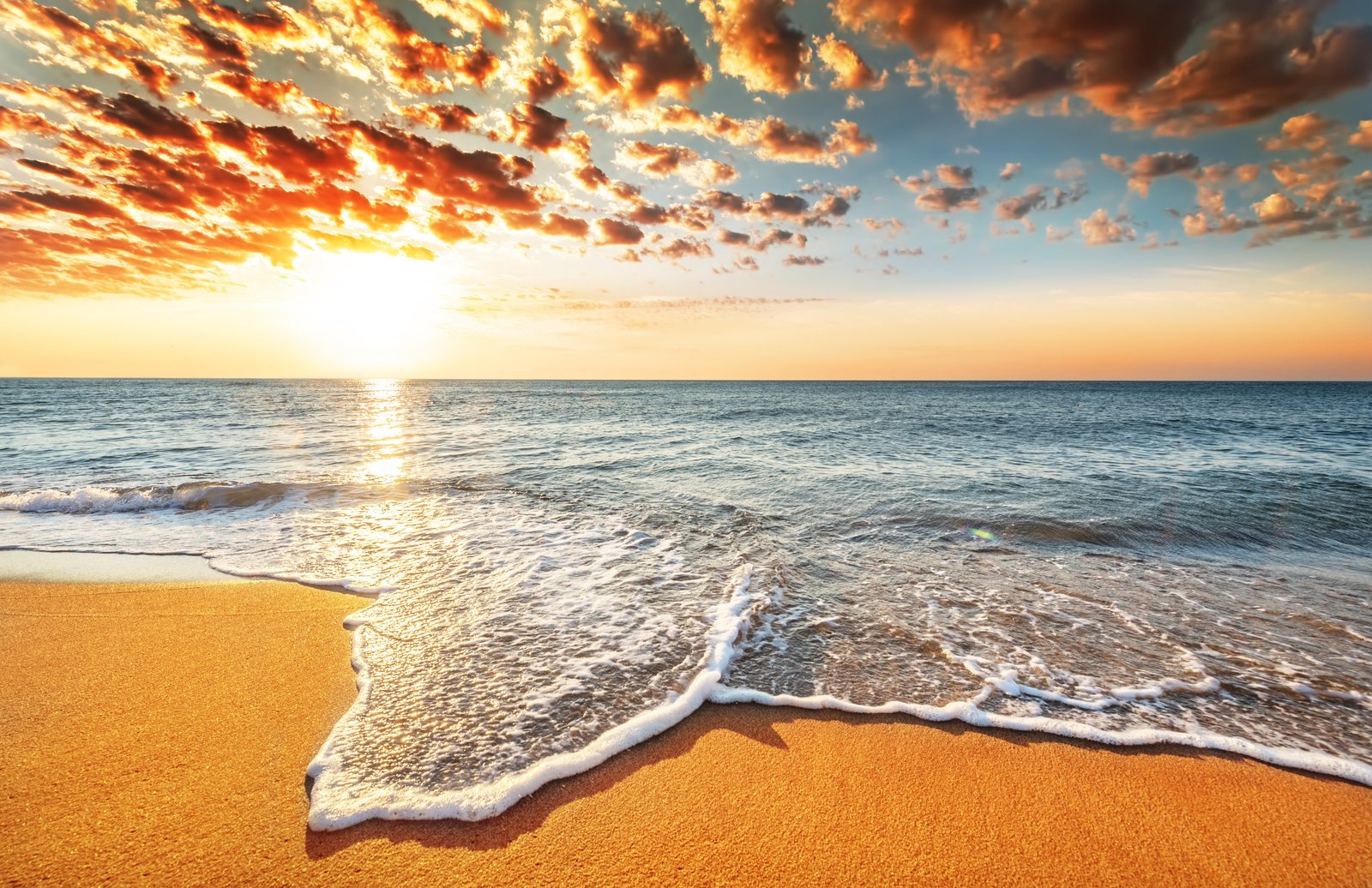 sea beach Sun sky sunset water beauty in nature scenics 2k 4k 5k
