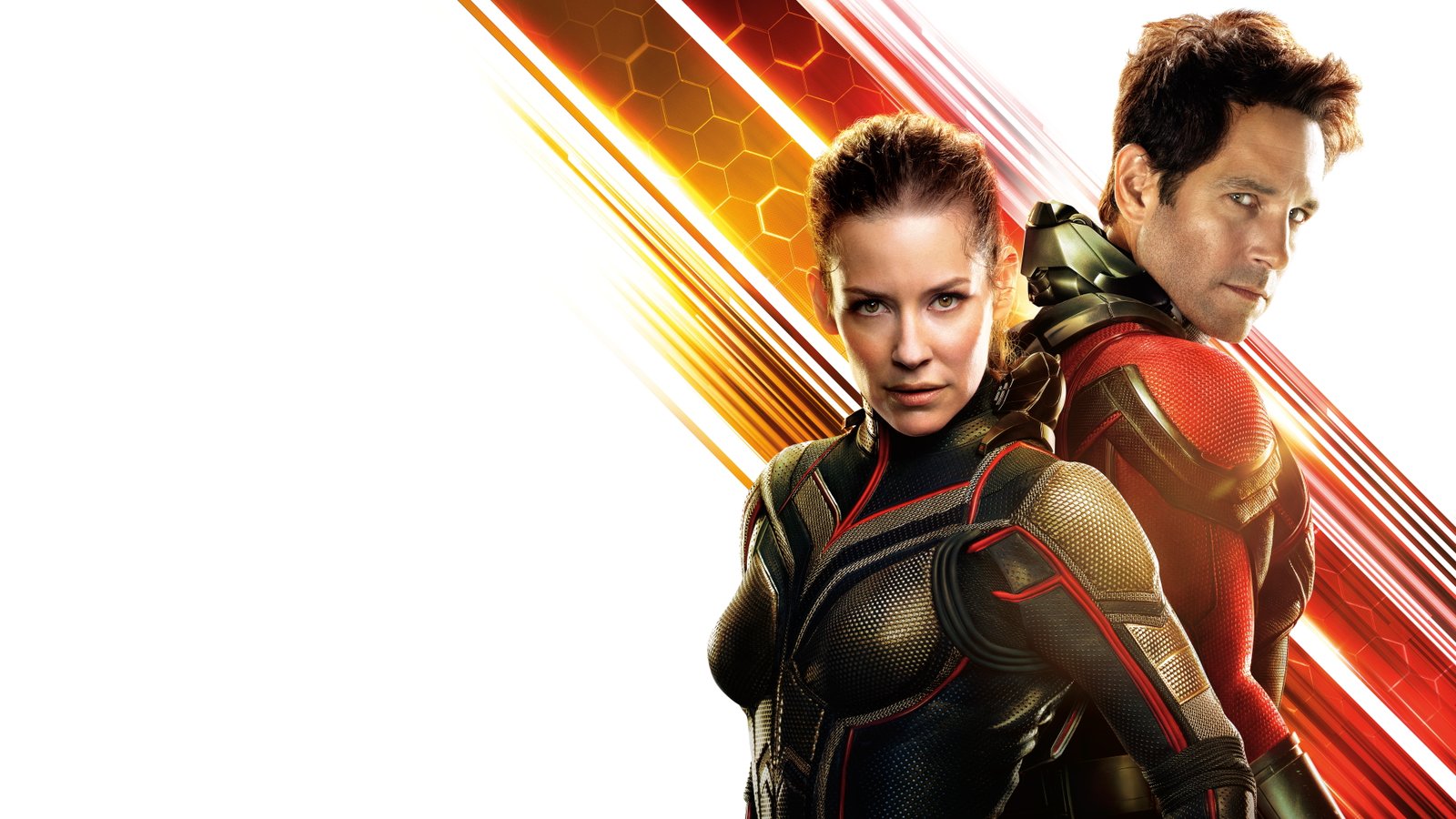 The Wasp Paul Rudd Sci Fi Evangeline Lilly 2k 4k 5k 8k