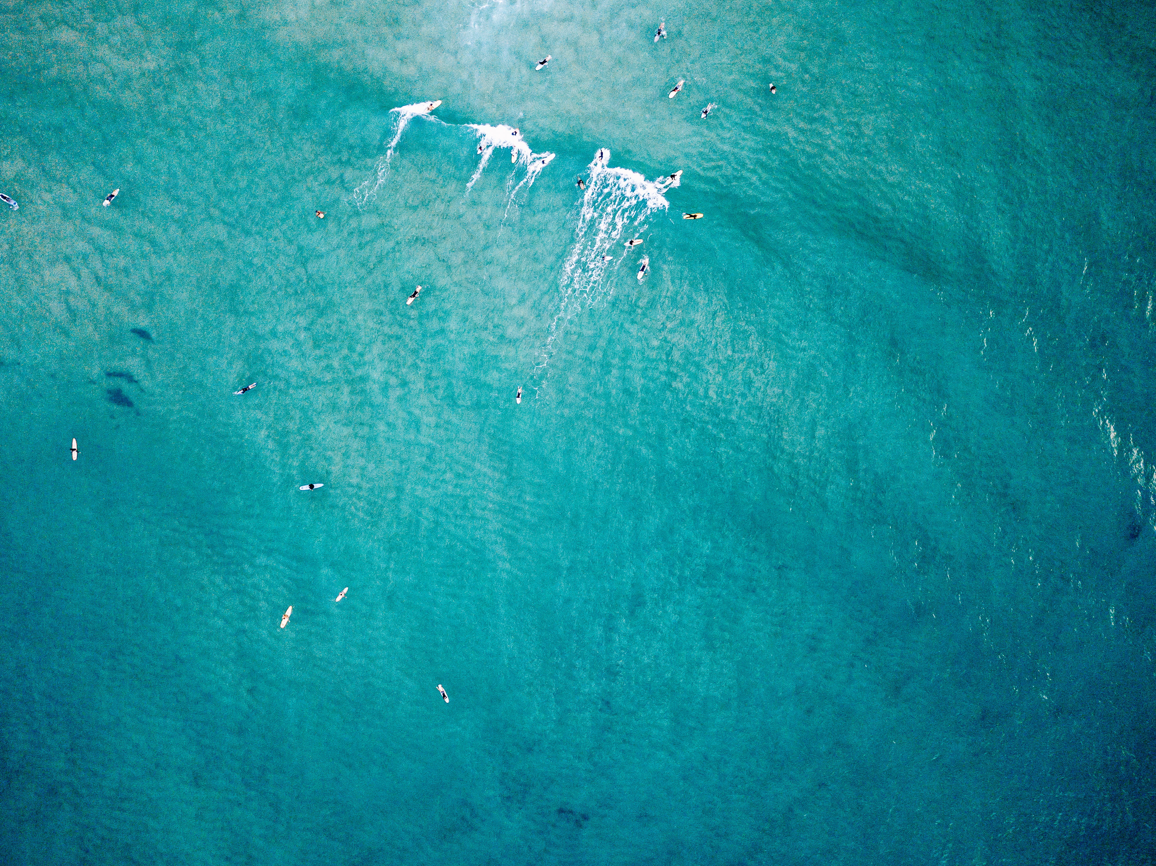 top view photo of body water untitled sea wave people 2k 4k