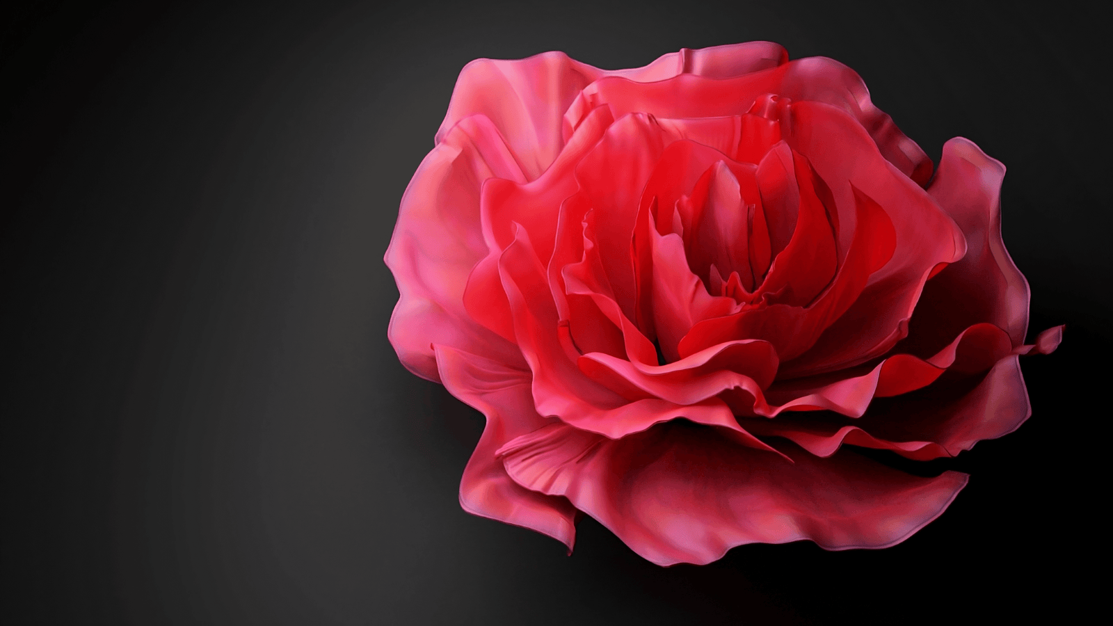 ROSES 2k 4k