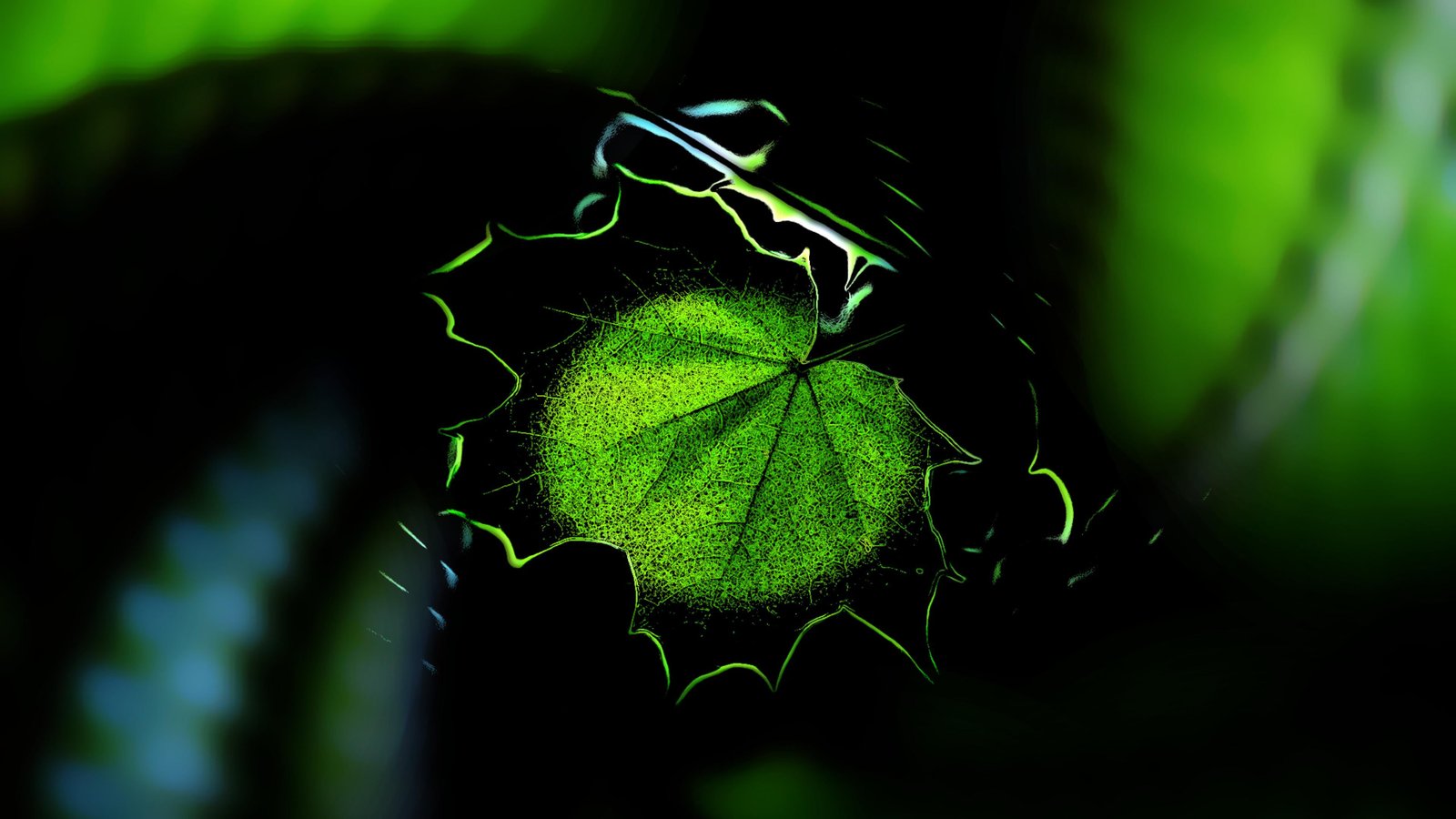 Leaf 2k 4k