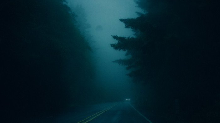 road in the middle of forest 2k