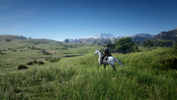 Red Dead Redemption II