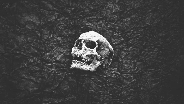 human skull wallpaper black white abstract simple artwork