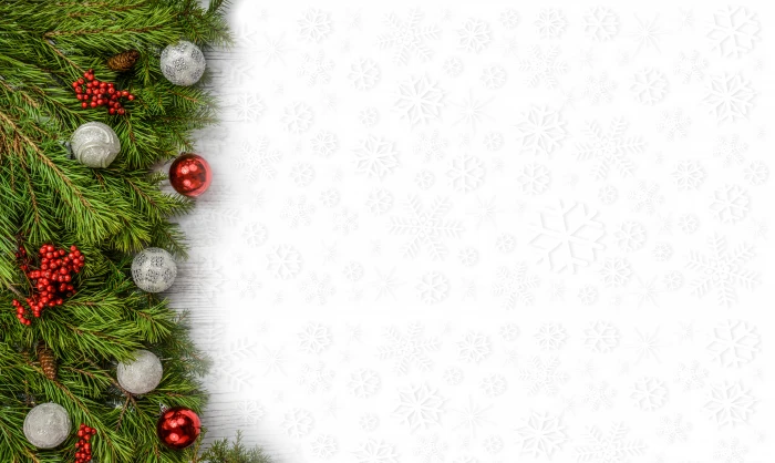 closeup photo of green Christmas tree background backdrop decoration 61 2k 4k 5k