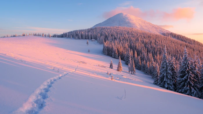 snow mountain digital wallpaper winter forest clouds rays 2k 4k