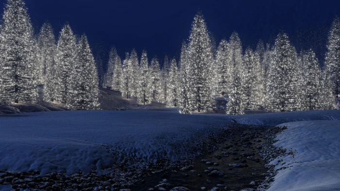 christmas decoration winter snow blue nature tree 2k