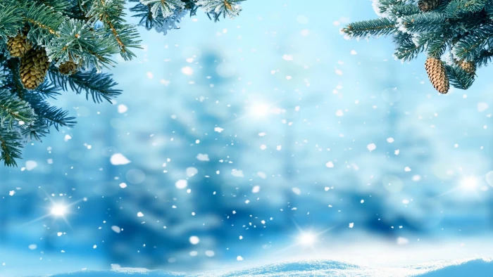 blue sky tree pine snow spruce winter fir branch snowfall 2k