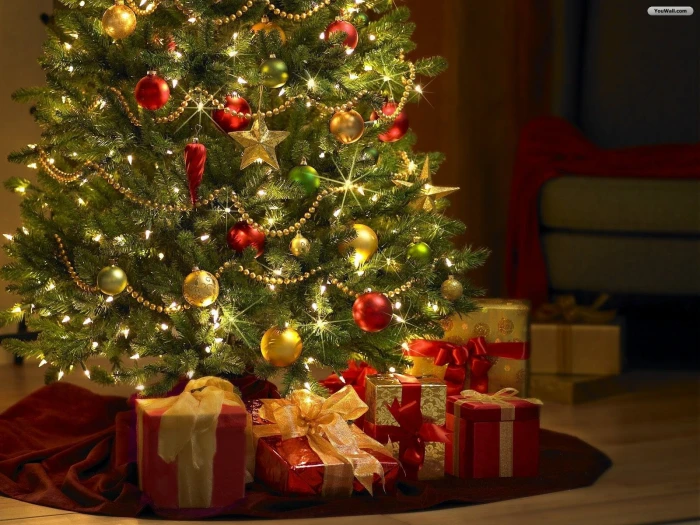 holiday Christmas ornaments christmas lights Tree