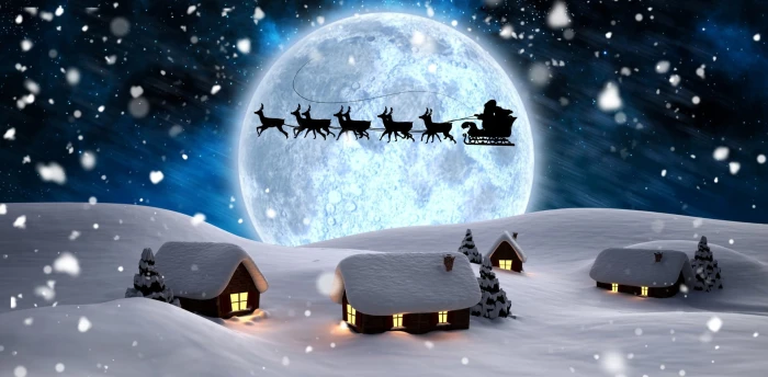 Holiday Christmas House Moon Night Reindeer Santa Silhouette