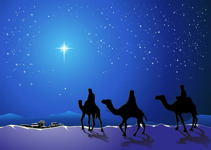 Holiday Christmas Blue Camel Night Stars The Three Wise Men