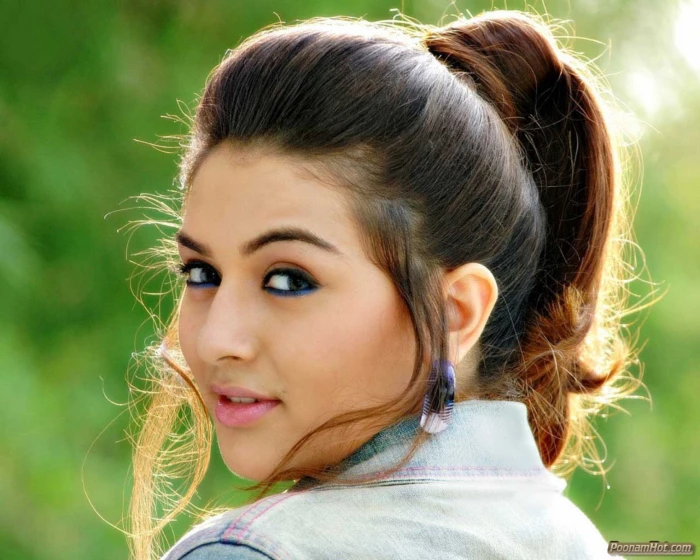 actress babe bollywood hansika model motwani 2k