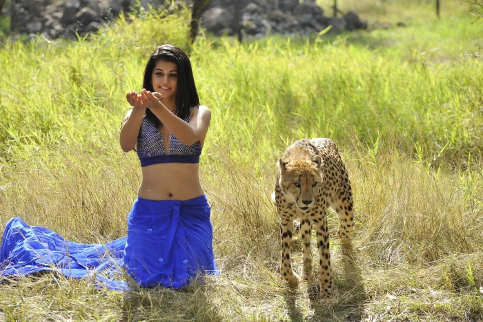 actress babe bollywood model tapsee 90 2k