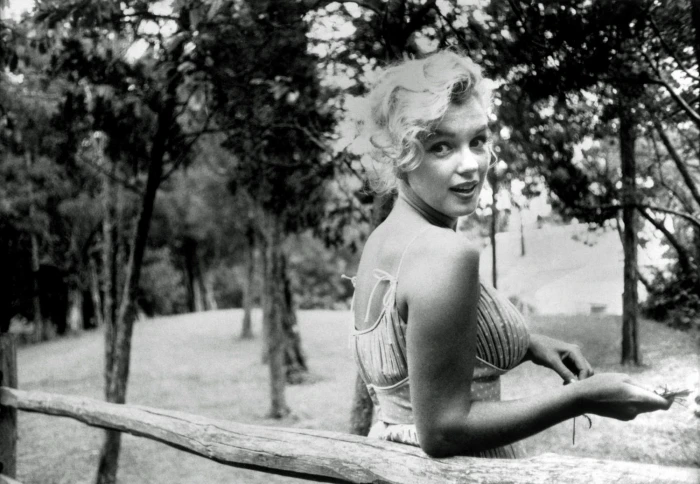 actress blonde marilyn monroe