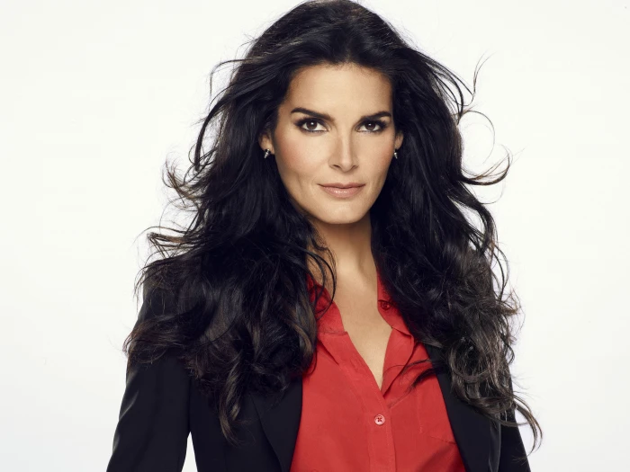 Actresses Angie Harmon American Black Hair Girl 2k