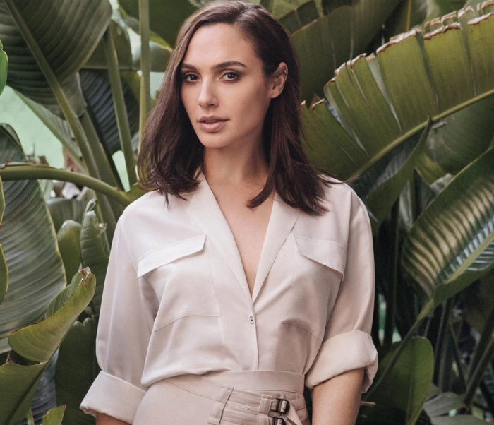 Actresses Gal Gadot Brown Eyes Brunette Israeli Model