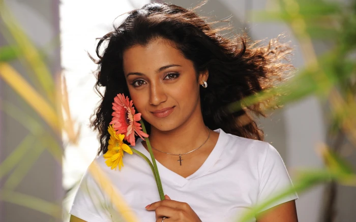 Telugu Tamil Trisha Krishnan Heroine 2k 4k