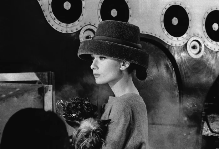 Audrey Hepburn monochrome women actress dog real people 2k 4k
