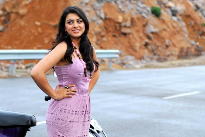 Bubbly Beauty Hansika Motwani women's purple sleeveless pleated bodycon dress