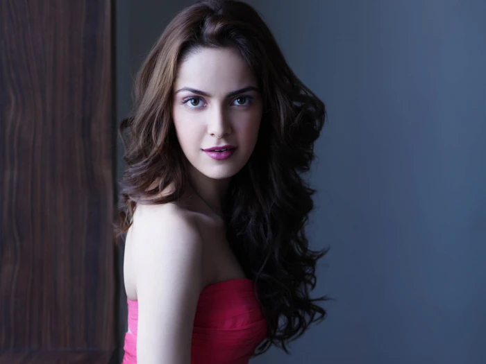 Indian Actress Shazahn Padamsee HD celebrities