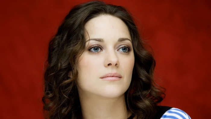 Marion Cotillard women actress brunette blue eyes clean skin