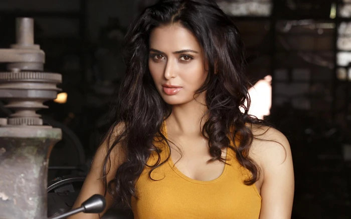 Meenakshi Dixit women's yellow top Bollywood Celebrities Female